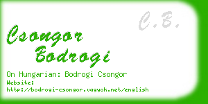 csongor bodrogi business card